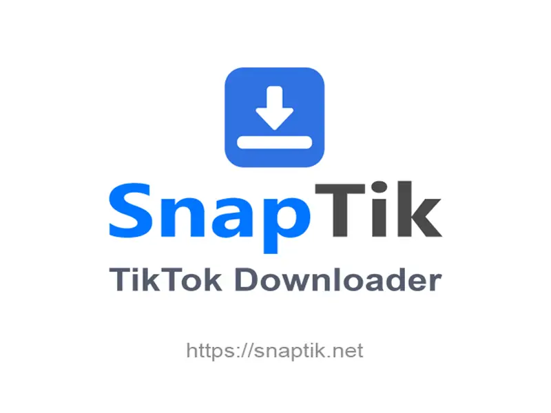 Best TIktok Downloader