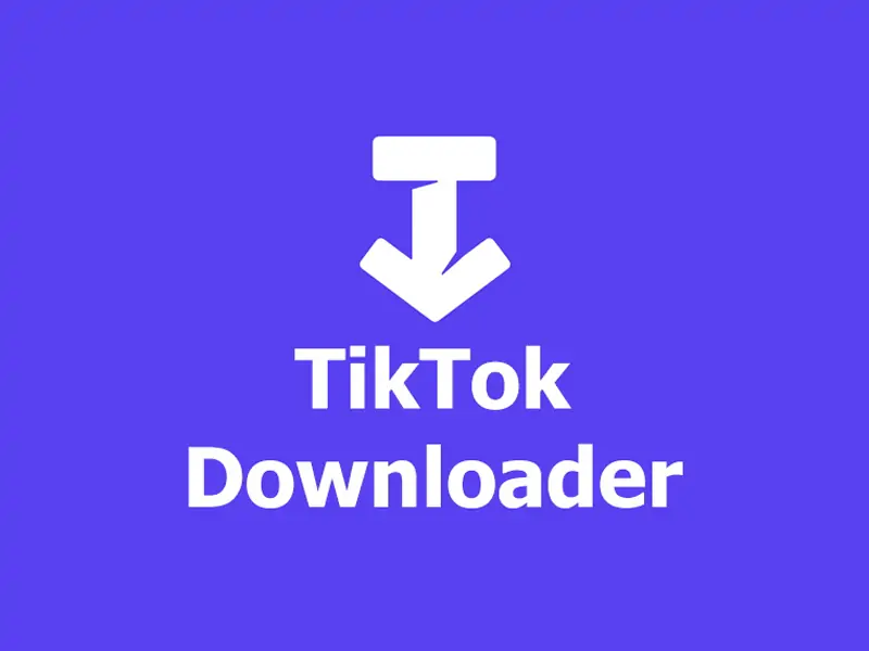 Best TIktok Downloader
