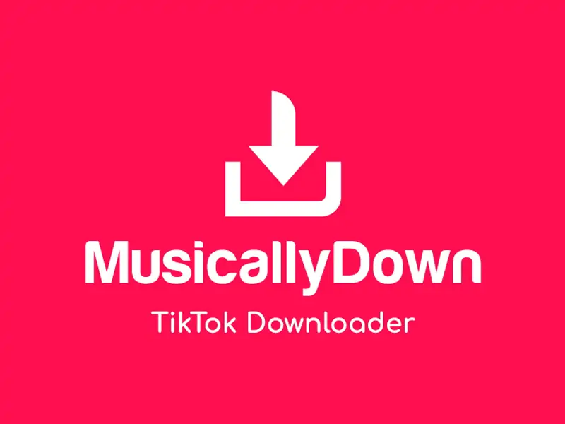 Best TIktok Downloader