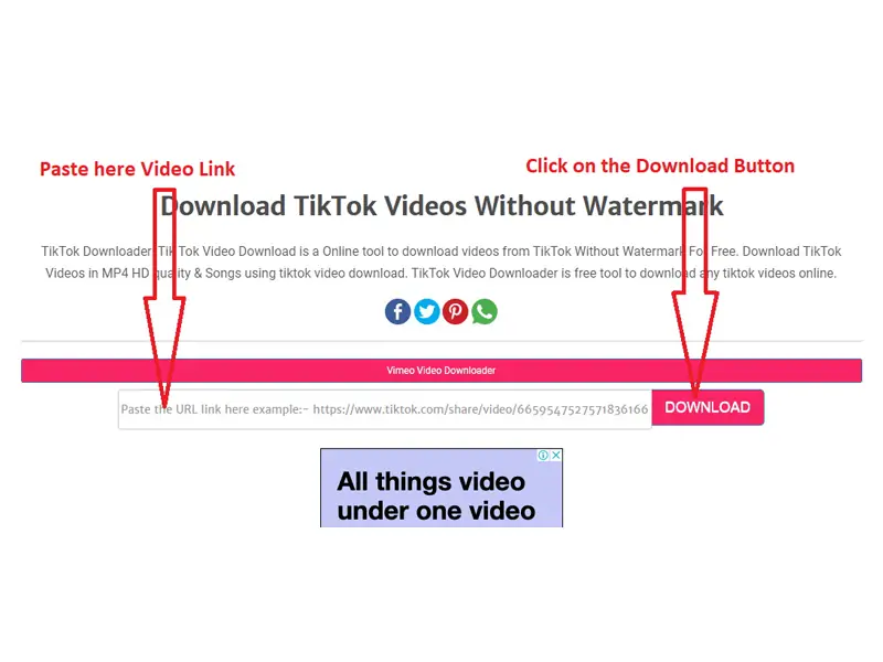 Best TIktok Downloader