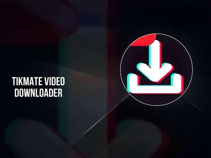Best TIktok Downloader