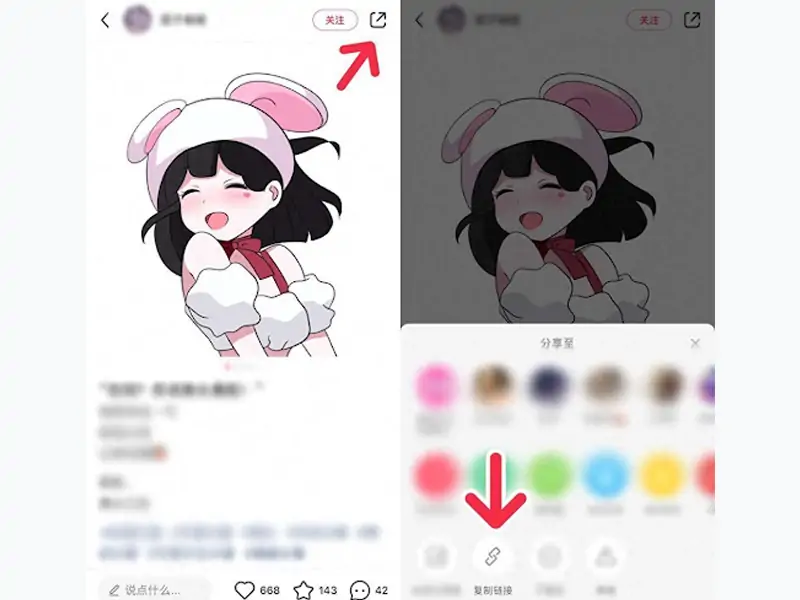 xiaohongshu video downloader