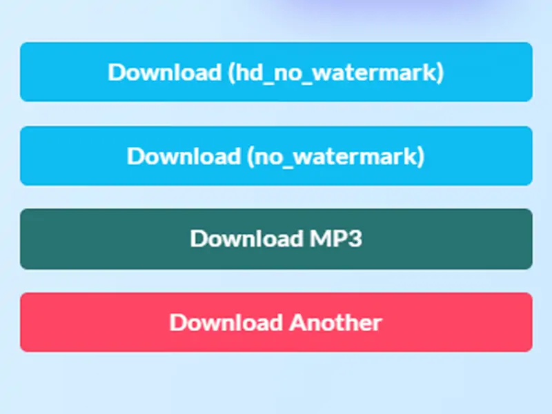 xiaohongshu video downloader